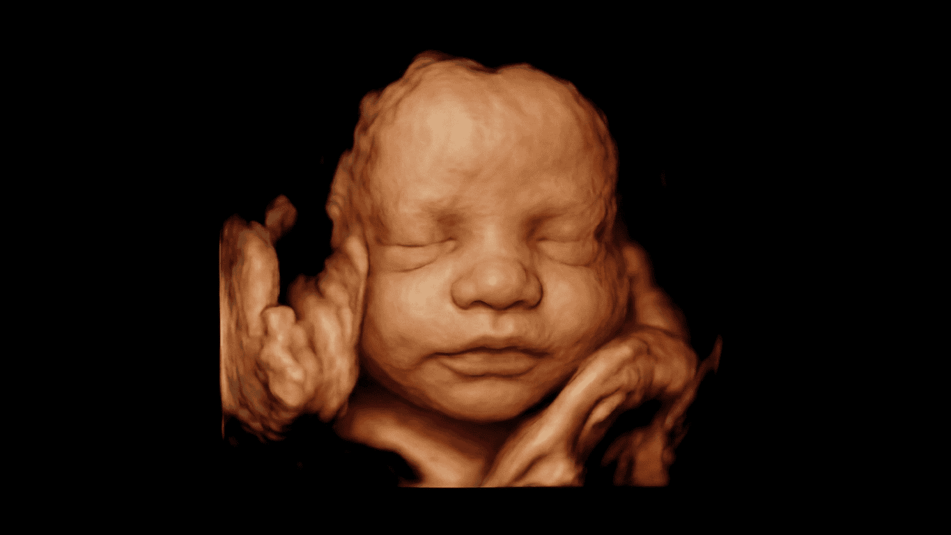 Ginecología y obstetricia